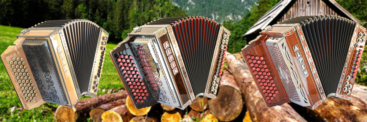 Steirische Harmonika - mein Instrument